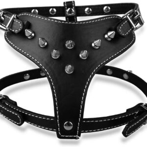 Studded PU Leather Pet Carrier (Small Dog Size)