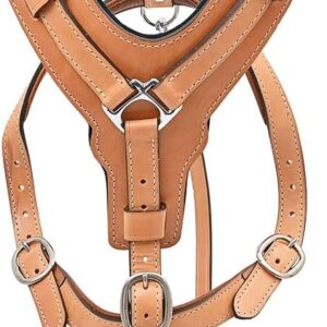 Padded Genuine Leather Carrier (with Leash)