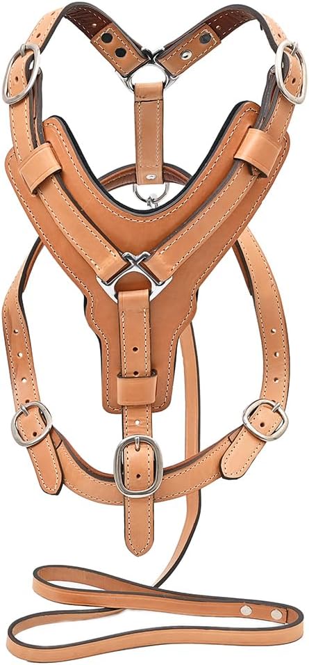 Padded Genuine Leather Carrier (with Leash)