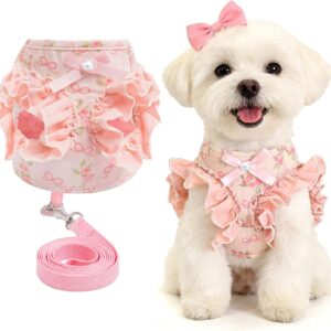 Pink Bow-Tie Carrier and Leash Set (Small Dogs & Cats)