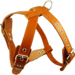 Classic Genuine Leather Medium-Sized Dog Condom