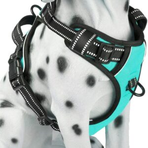 Adjustable Anti-Impact Chest Hatchling (Double Buckle Reflective)