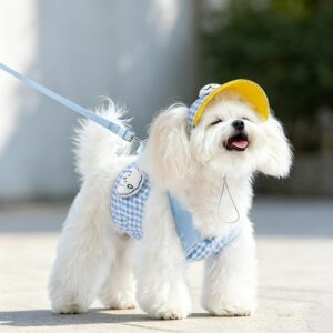 Summer Pet Outing Two-Piece Set (Hitchhikkuri and Leash)