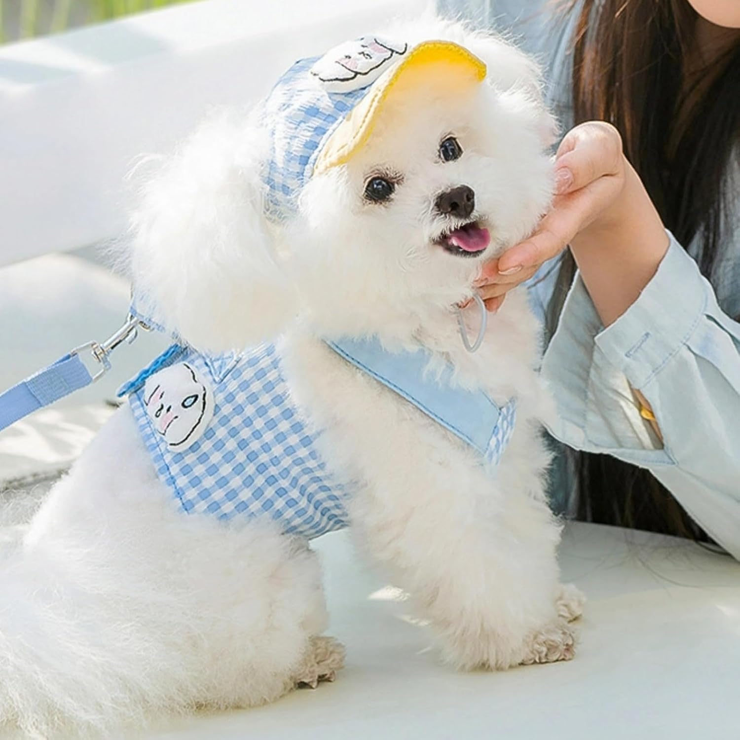 Summer Pet Outing Two-Piece Set (Hitchhikkuri and Leash) - Image 2