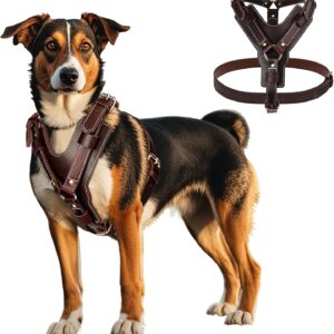 Heavy Duty Genuine Leather Large Dog Condom (Thickened Padded Version)