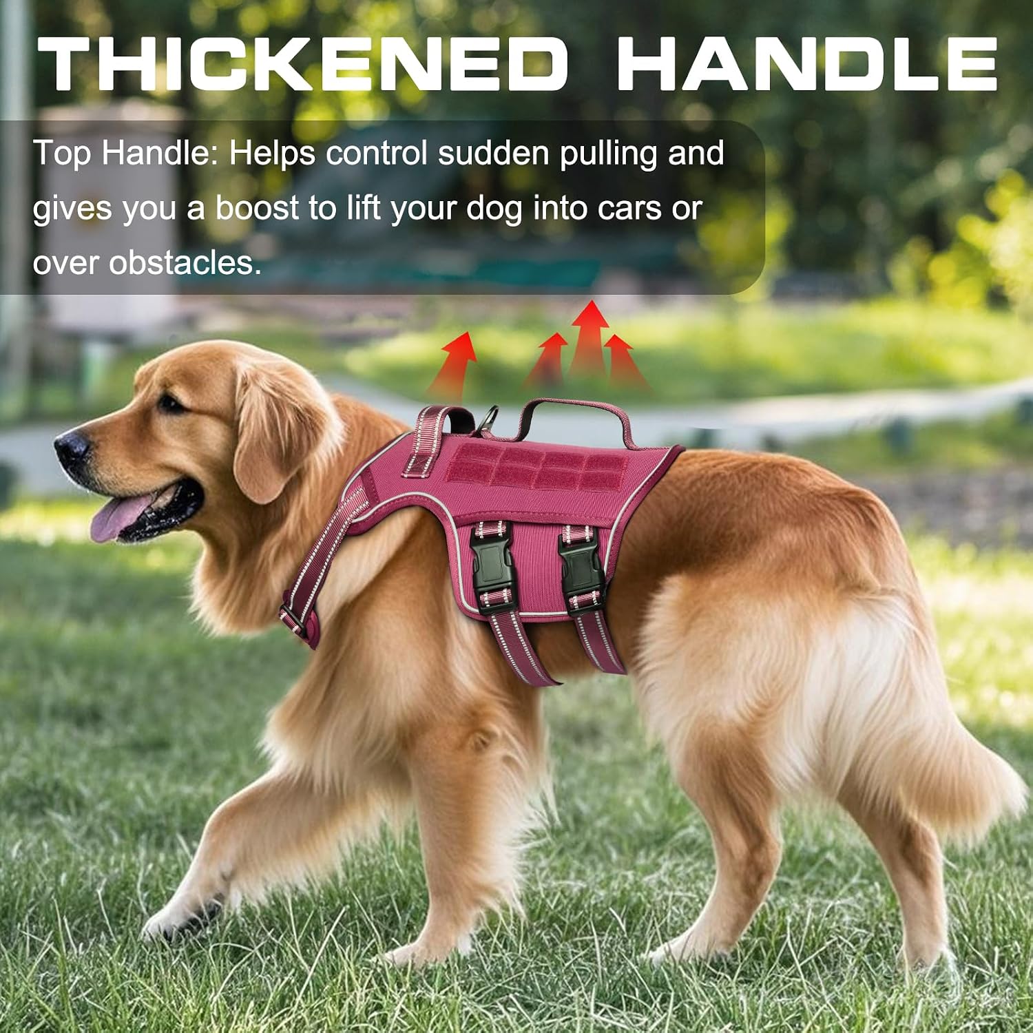 Tactical Multi-functional Pet Harness (Carry Handle) - Image 2