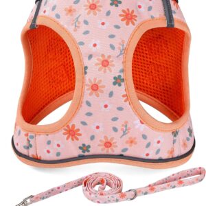 Floral Print Fitted-in Carrier (Leash Set)