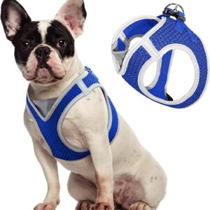 Breathable Mesh Pet Vest-Style Carrier